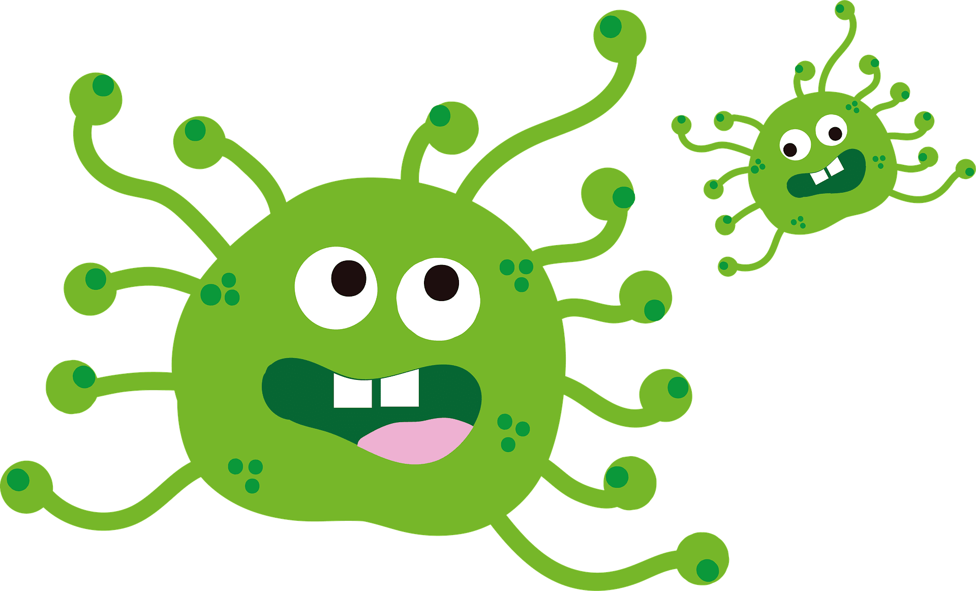Viren Bakterien Abwehr